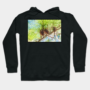 Pine cones on a tree Hoodie